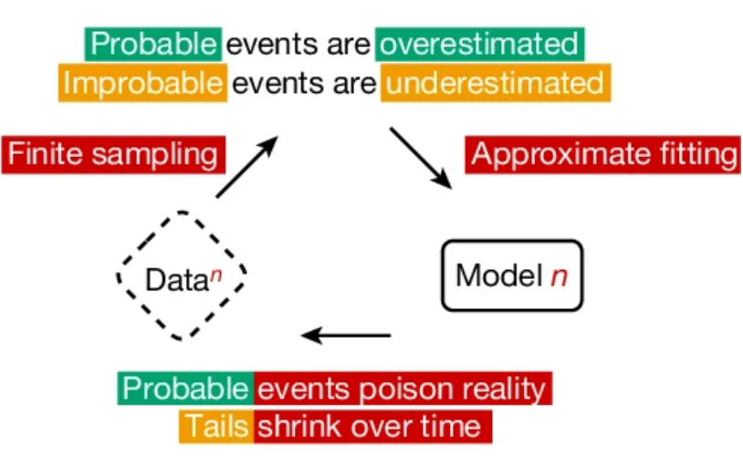 The generative AI data cycle